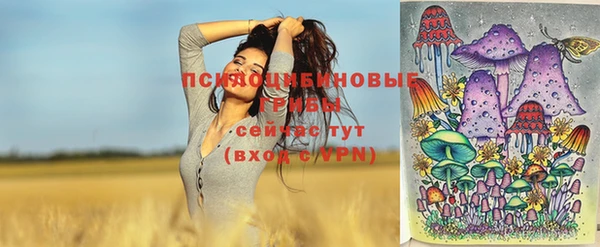 ешки Абинск