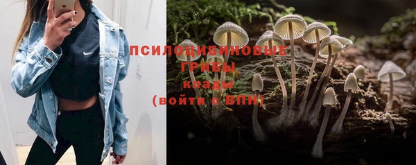 ешки Абинск